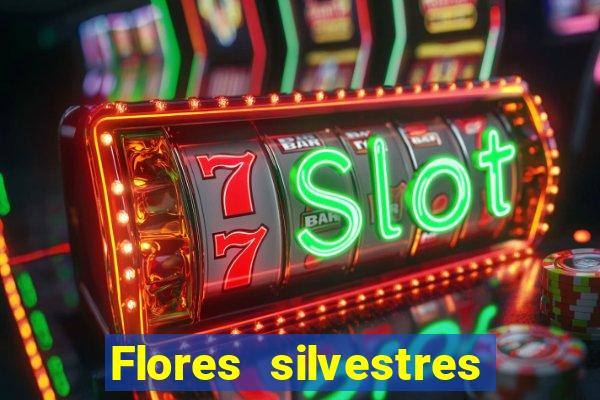 Flores silvestres brasileiras 25